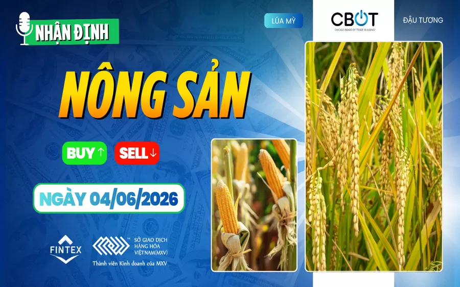 NHẬN ĐỊNH THỊ TRƯỜNG NÔNG SẢN NGÀY 04/06/2026